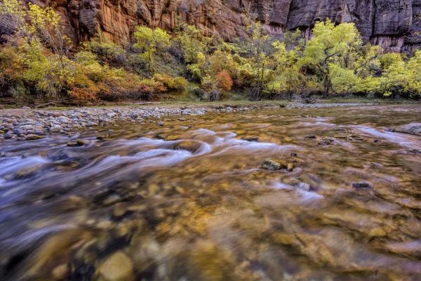USA, Utah, Zion NP Stream in autumn scenic